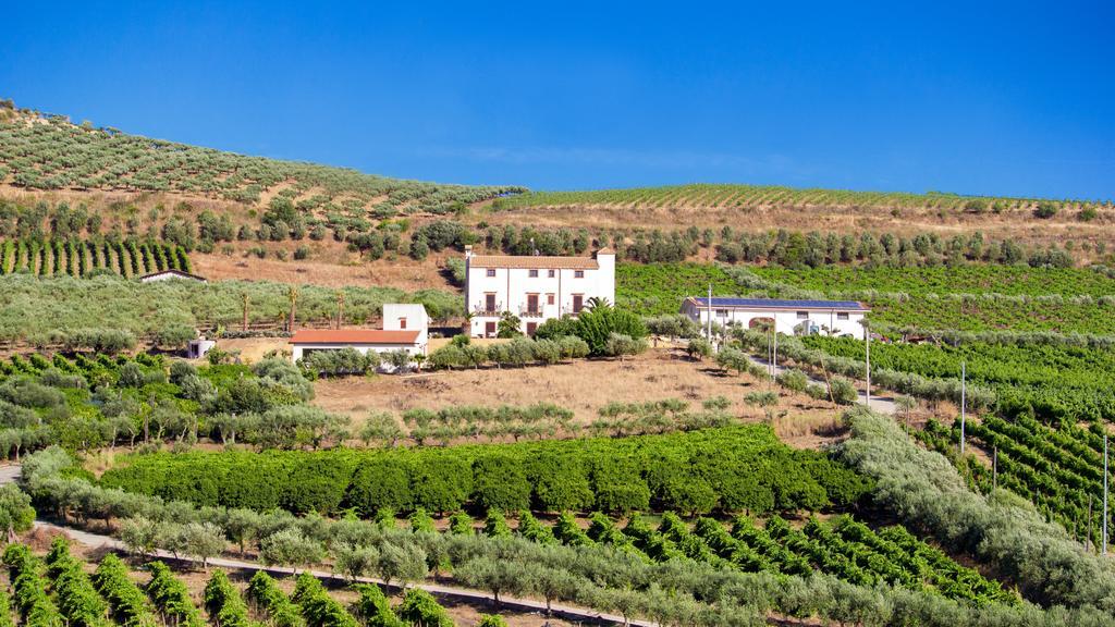 Tenute Piazza Countryhouse Ribera Zewnętrze zdjęcie